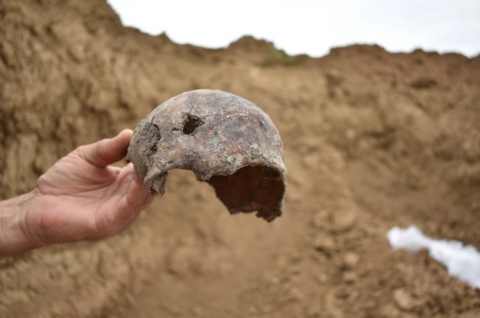 Снимок экрана 2022-02-24 183908