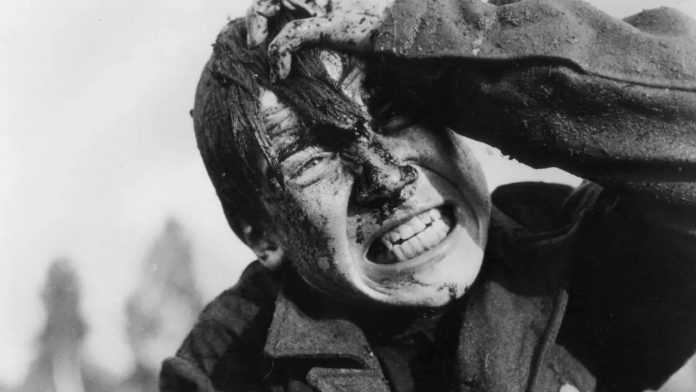 Обложка_Иди_и_смотри