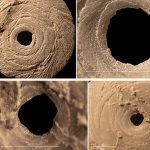 Археологи выяснили, что древние жители Кавказа владели ювелирными технологиями прикаспийских мастеров