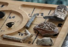 Учёные РАН обнаружили в Ленобласти кольца и выкладки эпохи бронзы